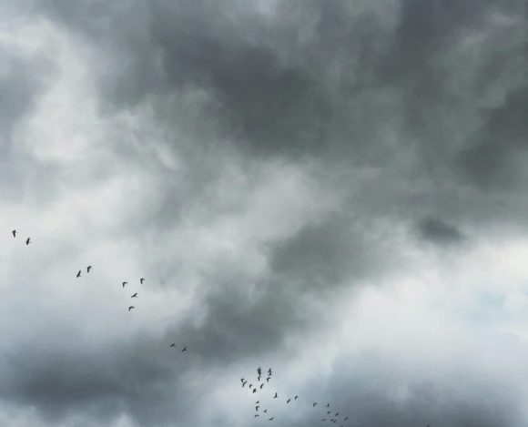 WhatsApp Image 2025-11-20 at 16.14.10_07d07485 Abu-abu